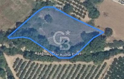 ÇANAKKALE MERKEZ AŞAĞI OKÇULAR KÖYÜNDE 4078 M2 SATILIK TARLA