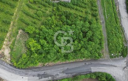 CB LİKA'DAN AKYAZI'DA DENİZ MANZARALI SATILIK ARSA