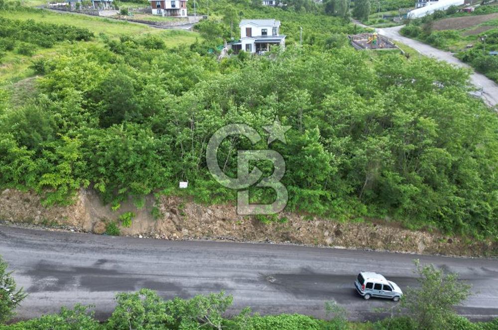 CB LİKA'DAN AKYAZI'DA DENİZ MANZARALI SATILIK ARSA