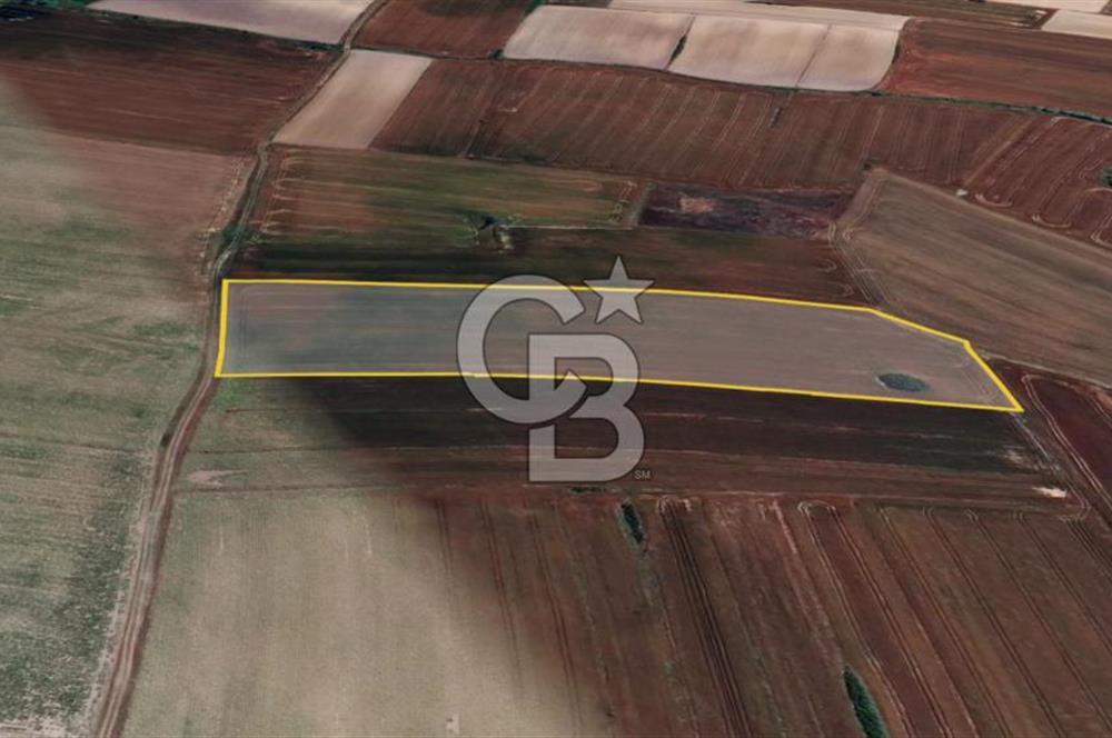 TEKİRDAĞ SARAY ÇUKURYURT YEŞİL ÇEŞME MEVKİİ SATILIK 17600 m²ARSA