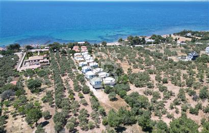 ÇANAKKALE EZİNE TAVAKLIDA 991 m² SATILIK VİLLA ARSASI
