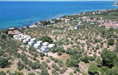 ÇANAKKALE EZİNE TAVAKLIDA 991 m² SATILIK VİLLA ARSASI