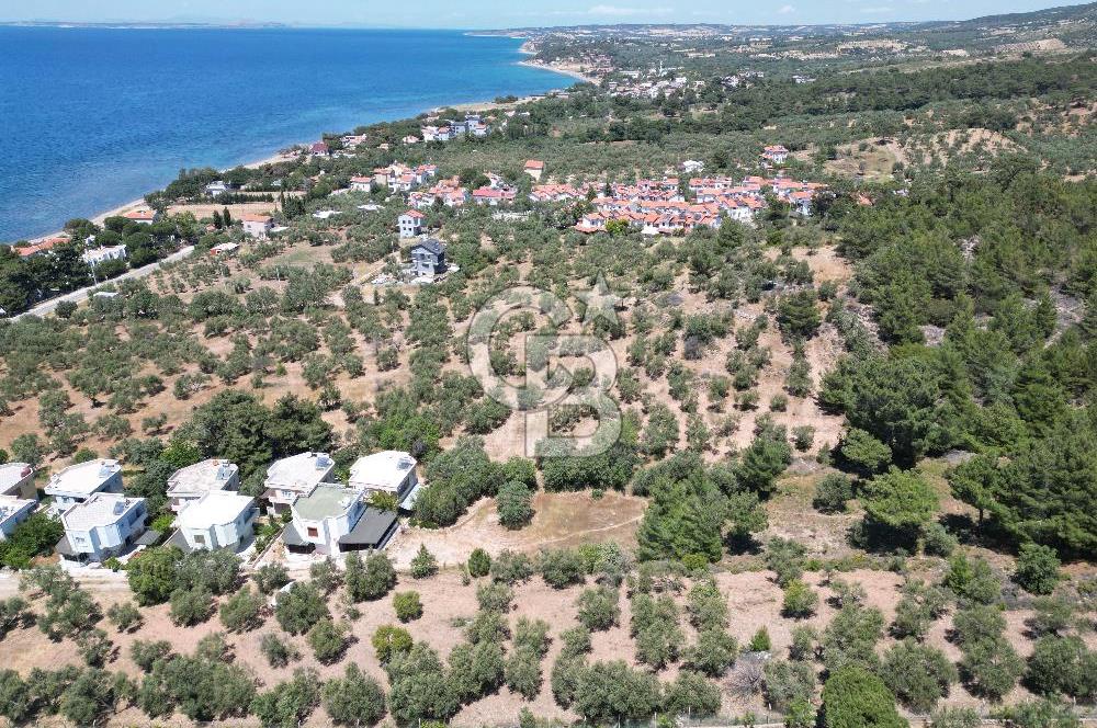 ÇANAKKALE EZİNE TAVAKLIDA 991 m² SATILIK VİLLA ARSASI