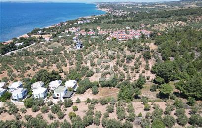 ÇANAKKALE EZİNE TAVAKLIDA 991 m² SATILIK VİLLA ARSASI