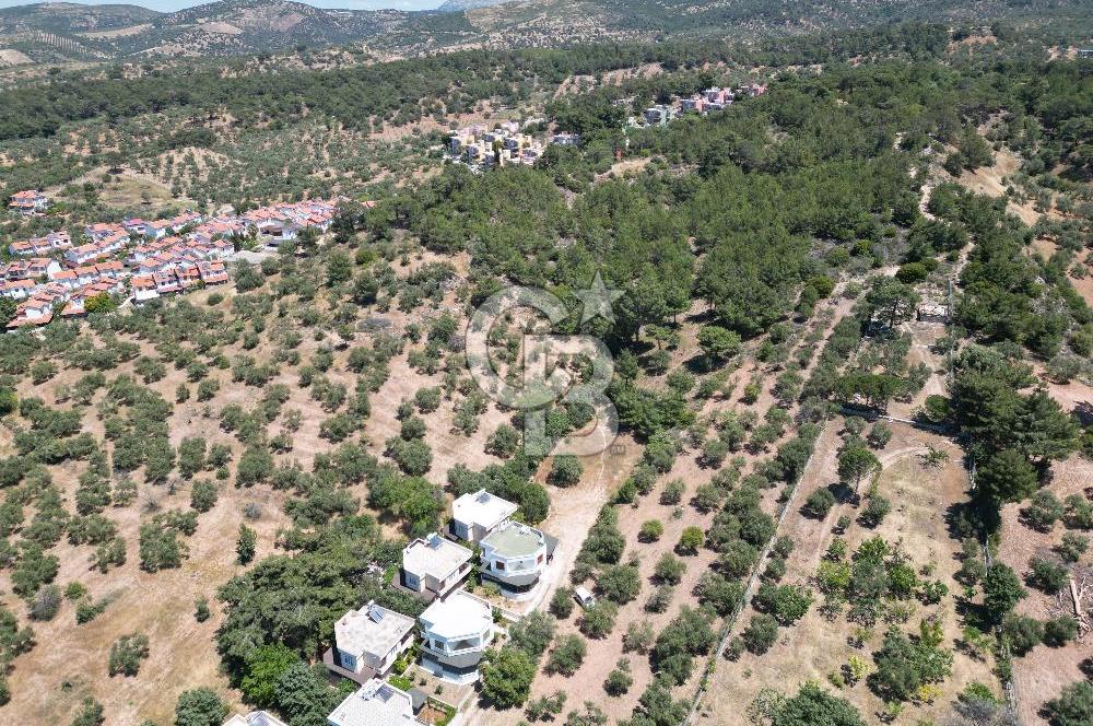 ÇANAKKALE EZİNE TAVAKLIDA 991 m² SATILIK VİLLA ARSASI