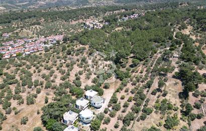 ÇANAKKALE EZİNE TAVAKLIDA 991 m² SATILIK VİLLA ARSASI