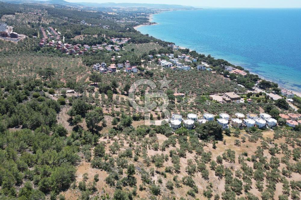 ÇANAKKALE EZİNE TAVAKLIDA 991 m² SATILIK VİLLA ARSASI