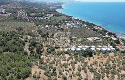 ÇANAKKALE EZİNE TAVAKLIDA 991 m² SATILIK VİLLA ARSASI