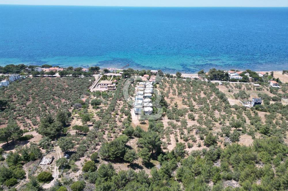 ÇANAKKALE EZİNE TAVAKLIDA 991 m² SATILIK VİLLA ARSASI