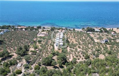ÇANAKKALE EZİNE TAVAKLIDA 991 m² SATILIK VİLLA ARSASI