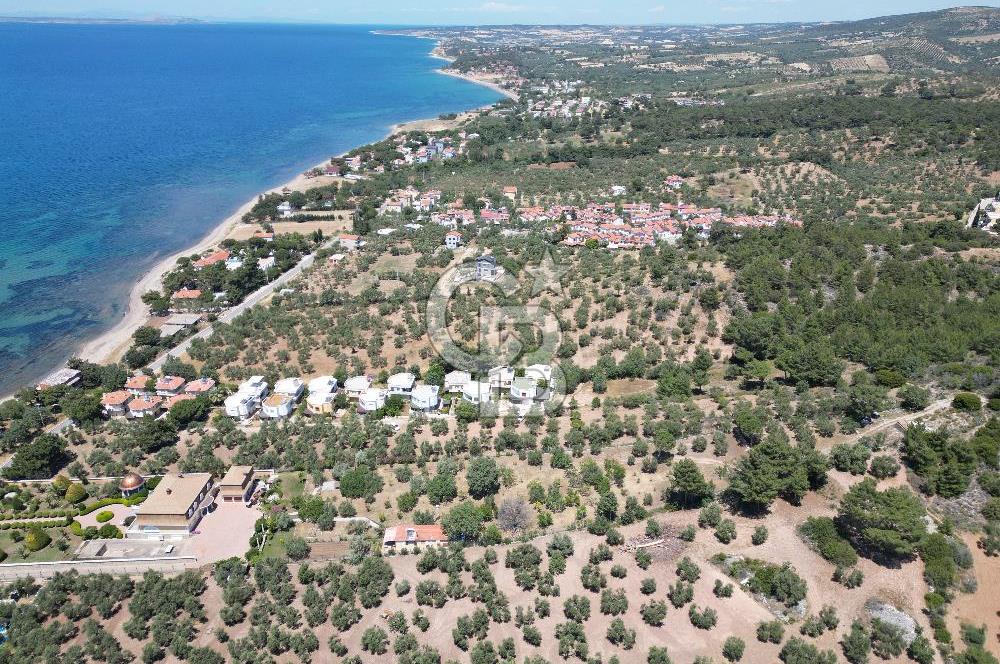 ÇANAKKALE EZİNE TAVAKLIDA 991 m² SATILIK VİLLA ARSASI