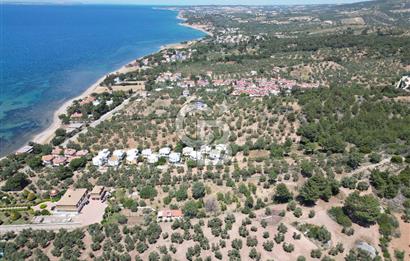 ÇANAKKALE EZİNE TAVAKLIDA 991 m² SATILIK VİLLA ARSASI