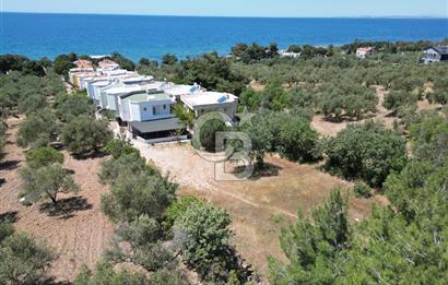 ÇANAKKALE EZİNE TAVAKLIDA 991 m² SATILIK VİLLA ARSASI