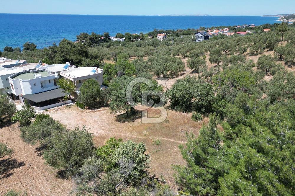 ÇANAKKALE EZİNE TAVAKLIDA 991 m² SATILIK VİLLA ARSASI