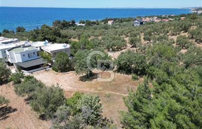 ÇANAKKALE EZİNE TAVAKLIDA 991 m² SATILIK VİLLA ARSASI