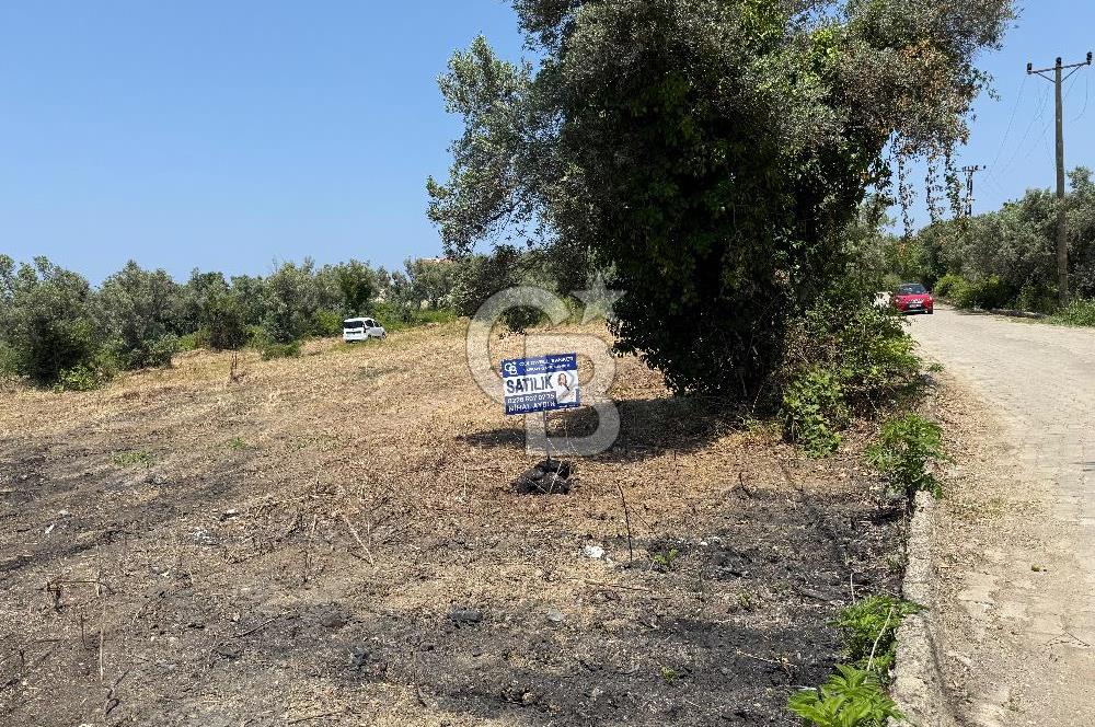 Yalova Çınarcık Koru da muhteşem konumda Satılık Arsa