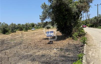 Yalova Çınarcık Koru da muhteşem konumda Satılık Arsa