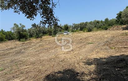 Yalova Çınarcık Koru da muhteşem konumda Satılık Arsa