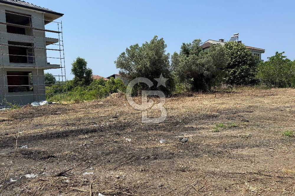 Yalova Çınarcık Koru da muhteşem konumda Satılık Arsa