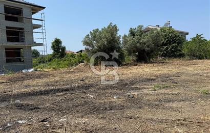 Yalova Çınarcık Koru da muhteşem konumda Satılık Arsa