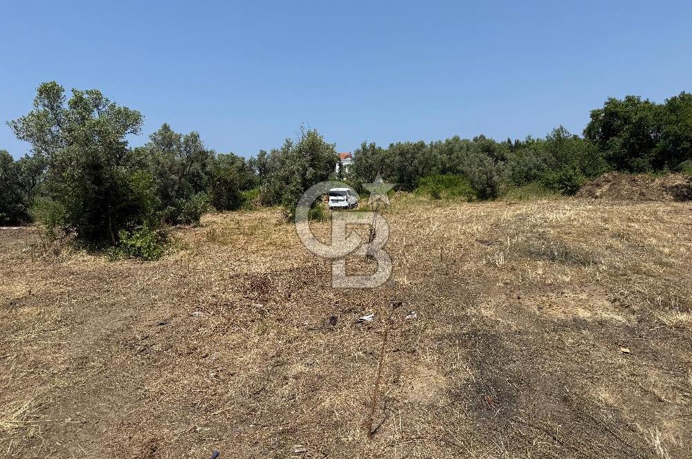 Yalova Çınarcık Koru da muhteşem konumda Satılık Arsa