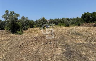 Yalova Çınarcık Koru da muhteşem konumda Satılık Arsa