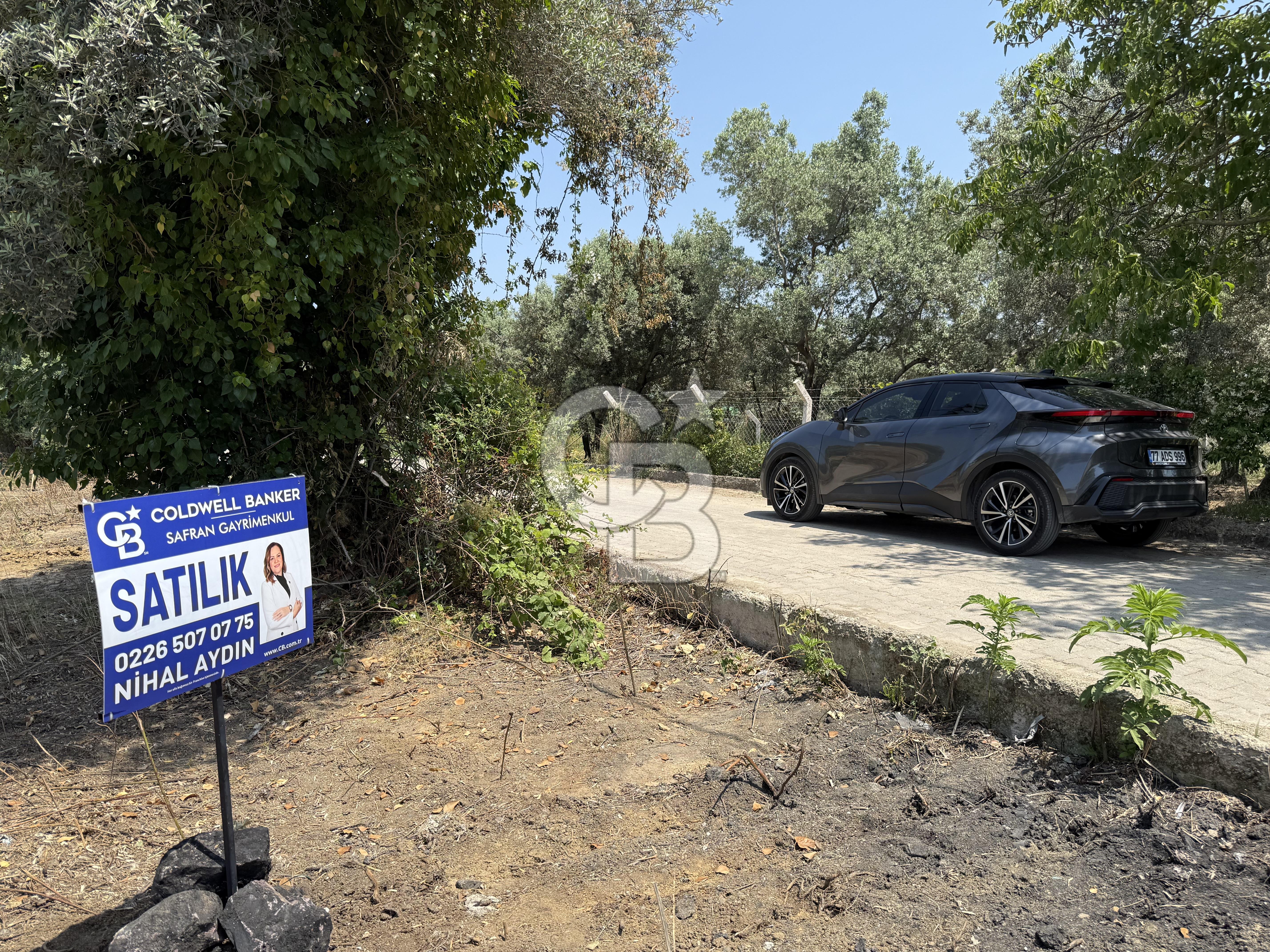 Yalova Çınarcık Koru da muhteşem konumda Satılık Arsa
