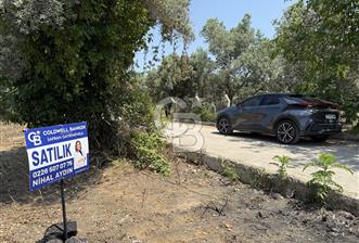 Yalova Çınarcık Koru da muhteşem konumda Satılık Arsa