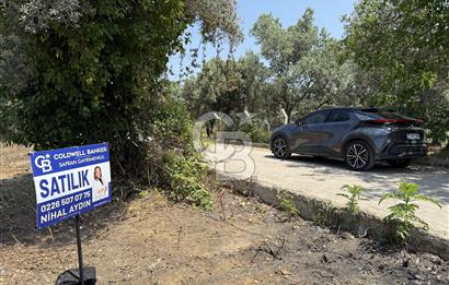 Yalova Çınarcık Koru da muhteşem konumda Satılık Arsa