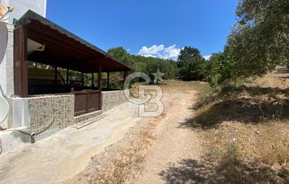 ÇANAKKALE EZİNE TAVAKLIDA 991 m² SATILIK VİLLA ARSASI