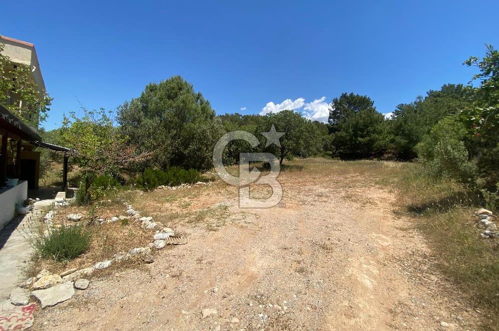 ÇANAKKALE EZİNE TAVAKLIDA 991 m² SATILIK VİLLA ARSASI