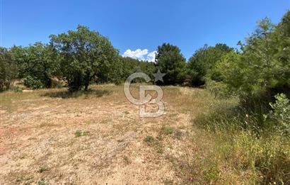 ÇANAKKALE EZİNE TAVAKLIDA 991 m² SATILIK VİLLA ARSASI