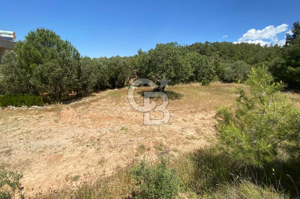 ÇANAKKALE EZİNE TAVAKLIDA 991 m² SATILIK VİLLA ARSASI