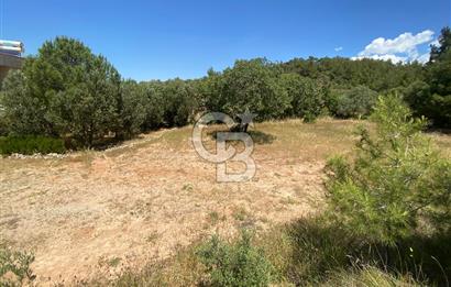 ÇANAKKALE EZİNE TAVAKLIDA 991 m² SATILIK VİLLA ARSASI