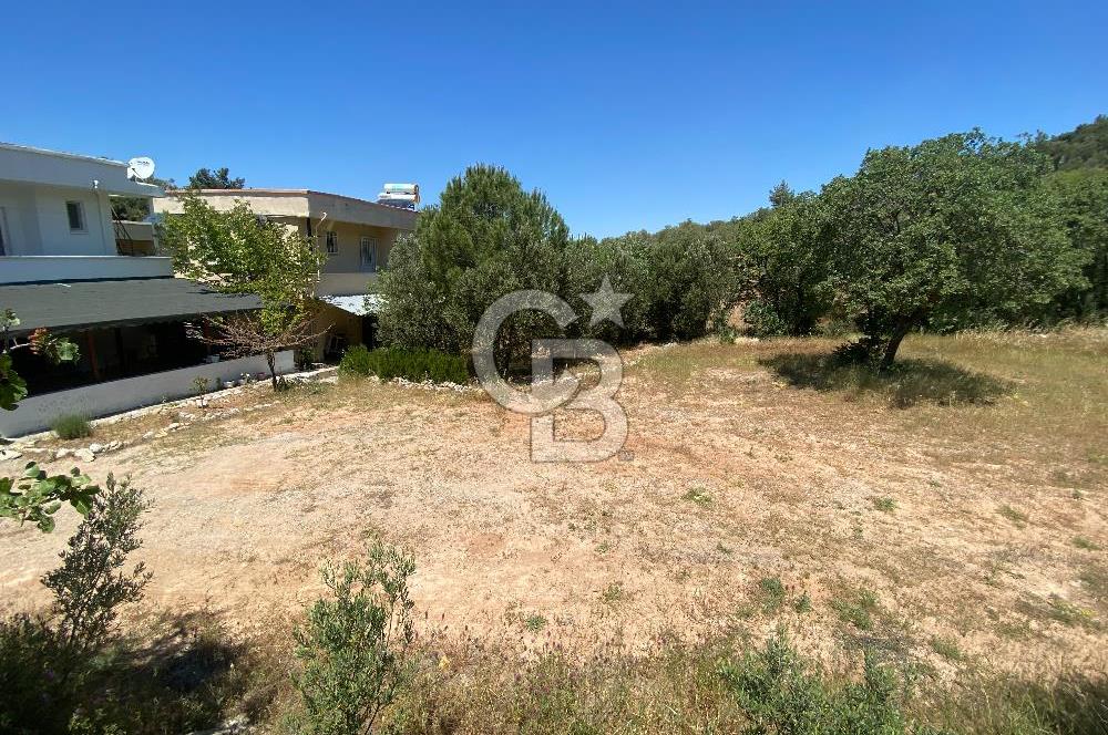 ÇANAKKALE EZİNE TAVAKLIDA 991 m² SATILIK VİLLA ARSASI