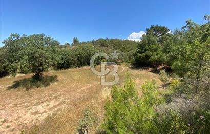 ÇANAKKALE EZİNE TAVAKLIDA 991 m² SATILIK VİLLA ARSASI