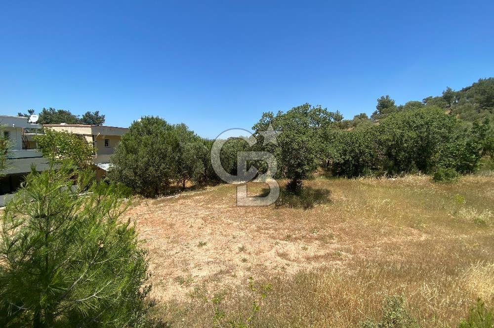 ÇANAKKALE EZİNE TAVAKLIDA 991 m² SATILIK VİLLA ARSASI