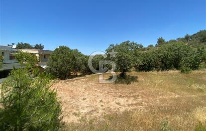 ÇANAKKALE EZİNE TAVAKLIDA 991 m² SATILIK VİLLA ARSASI