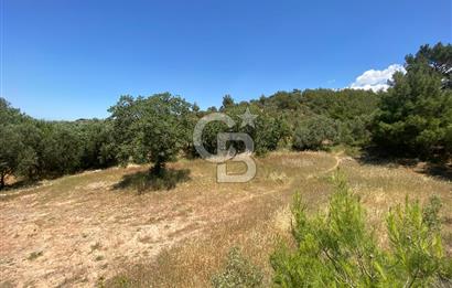 ÇANAKKALE EZİNE TAVAKLIDA 991 m² SATILIK VİLLA ARSASI