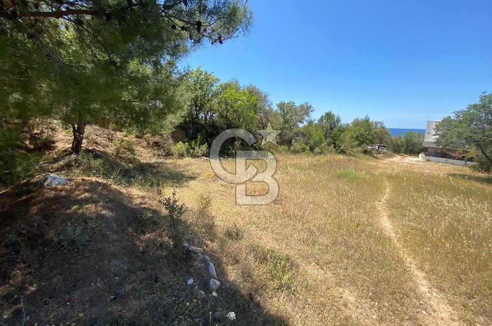 ÇANAKKALE EZİNE TAVAKLIDA 991 m² SATILIK VİLLA ARSASI