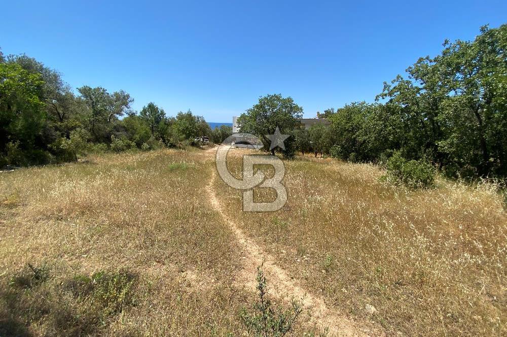 ÇANAKKALE EZİNE TAVAKLIDA 991 m² SATILIK VİLLA ARSASI
