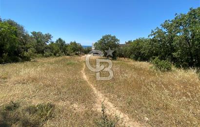 ÇANAKKALE EZİNE TAVAKLIDA 991 m² SATILIK VİLLA ARSASI