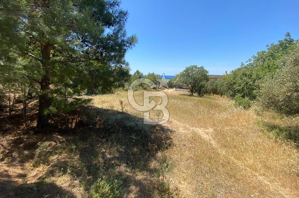 ÇANAKKALE EZİNE TAVAKLIDA 991 m² SATILIK VİLLA ARSASI