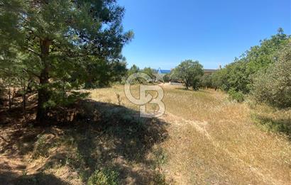 ÇANAKKALE EZİNE TAVAKLIDA 991 m² SATILIK VİLLA ARSASI