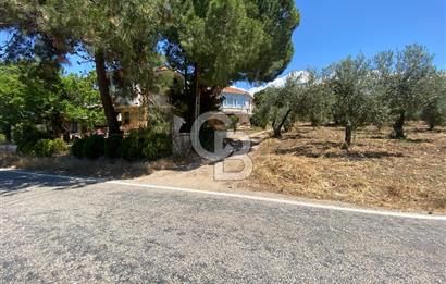 ÇANAKKALE EZİNE TAVAKLIDA 991 m² SATILIK VİLLA ARSASI
