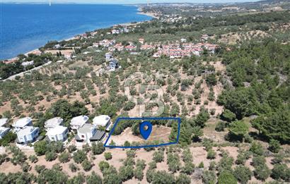 ÇANAKKALE EZİNE TAVAKLIDA 991 m² SATILIK VİLLA ARSASI