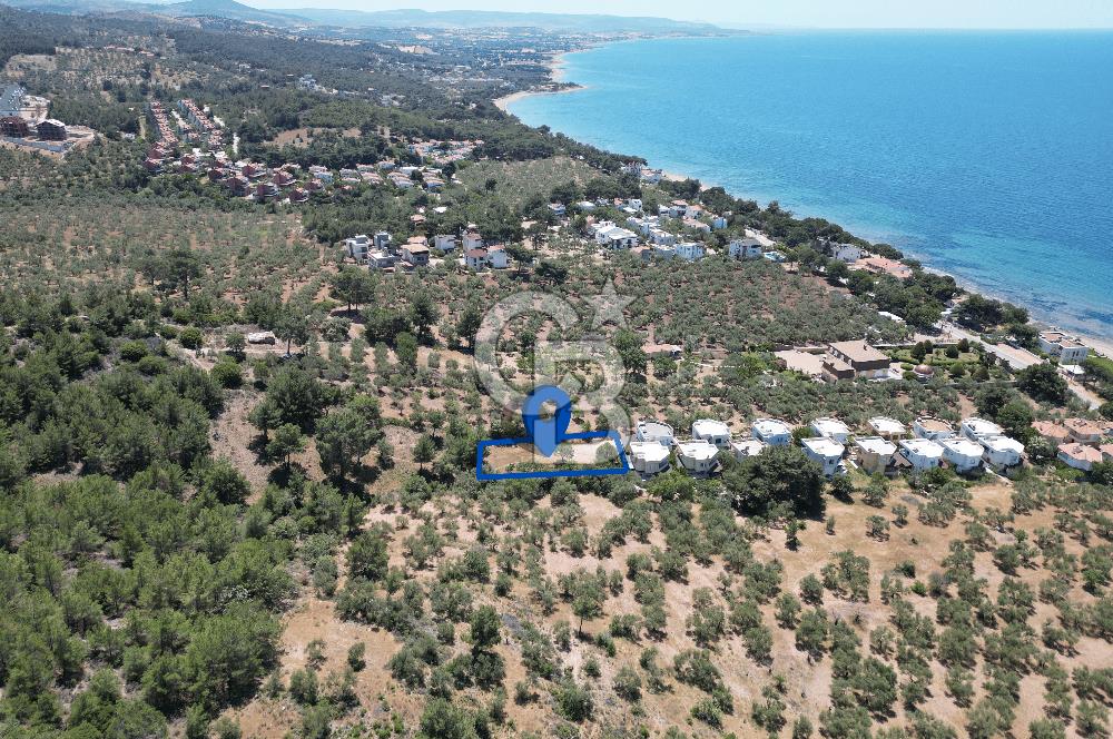 ÇANAKKALE EZİNE TAVAKLIDA 991 m² SATILIK VİLLA ARSASI