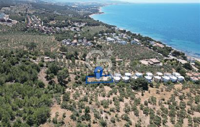 ÇANAKKALE EZİNE TAVAKLIDA 991 m² SATILIK VİLLA ARSASI