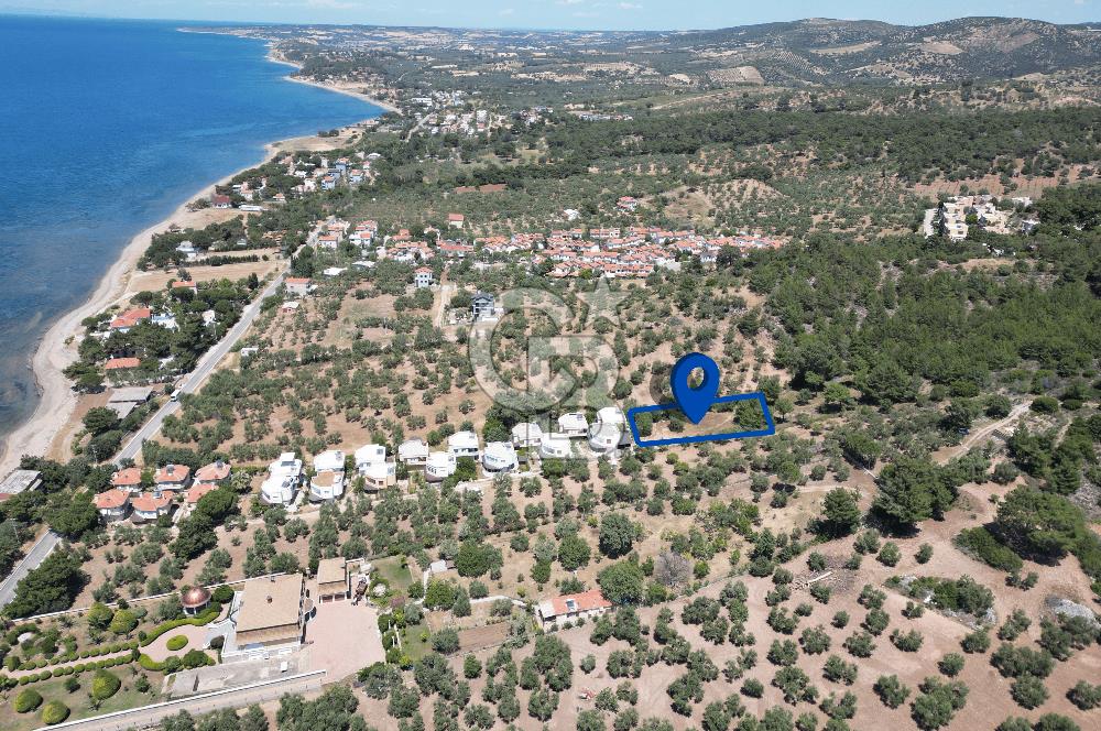 ÇANAKKALE EZİNE TAVAKLIDA 991 m² SATILIK VİLLA ARSASI