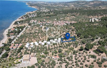 ÇANAKKALE EZİNE TAVAKLIDA 991 m² SATILIK VİLLA ARSASI